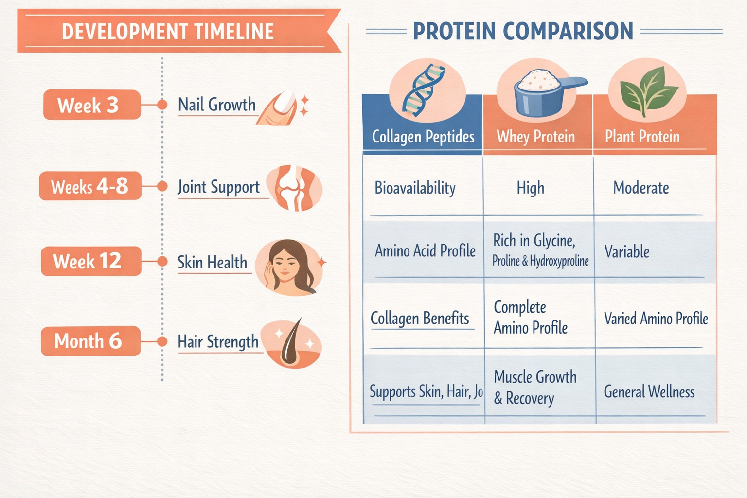 Detailed () split-composition image showing a timeline infographic on the left side with four milestone markers at Week 3
